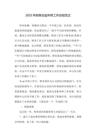 2025年财务总监年终工作总结范文