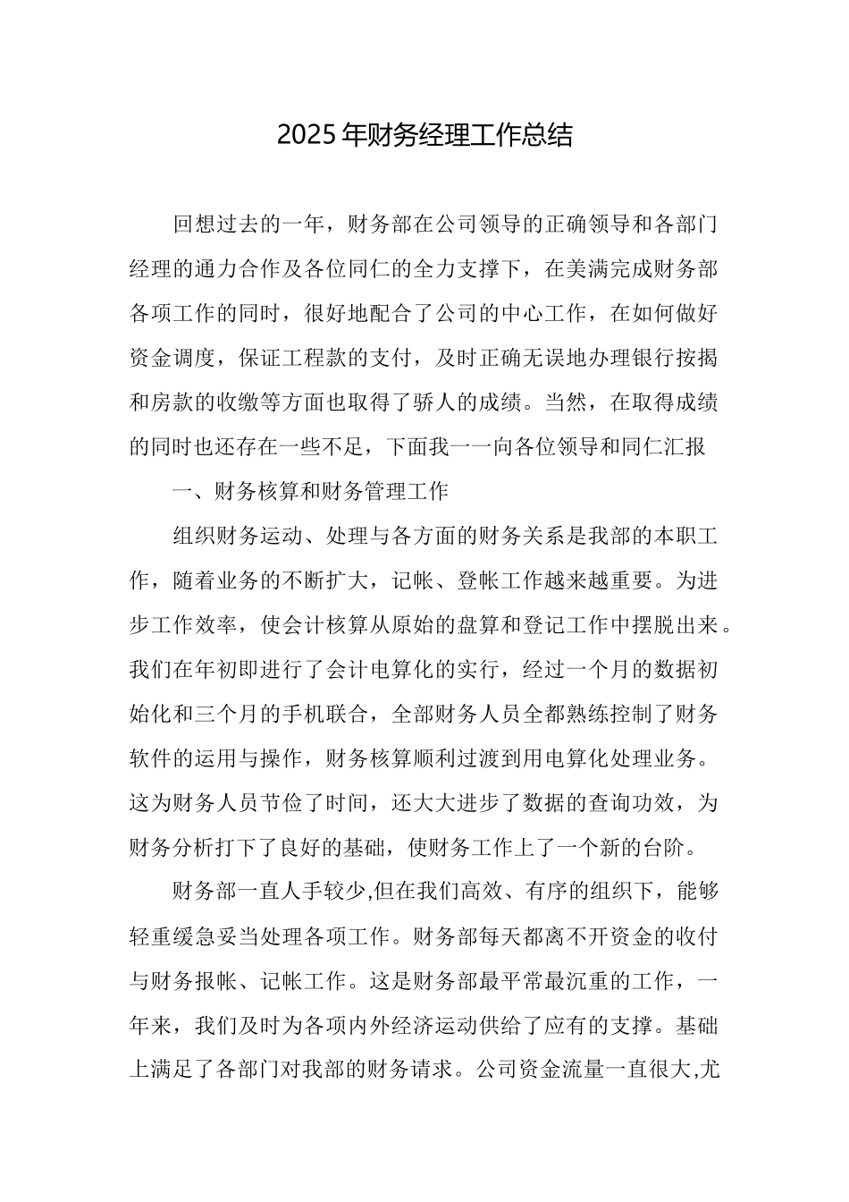 2025年财务经理工作总结_第1页
