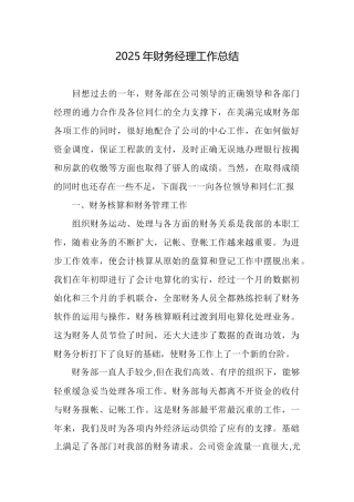 2025年财务经理工作总结