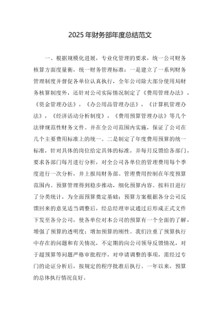 2025年财务部年度总结范文