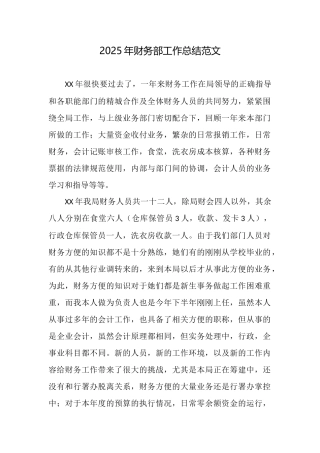 2025年财务部工作总结范文