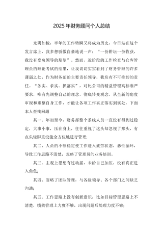 2025年财务顾问个人总结