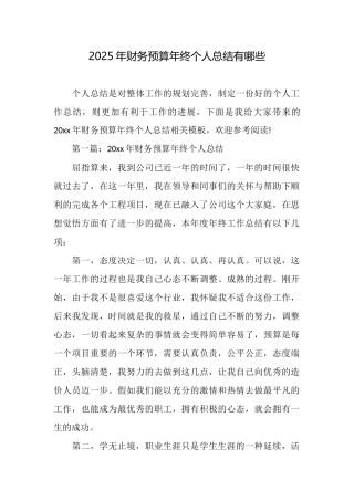 2025年财务预算年终个人总结有哪些