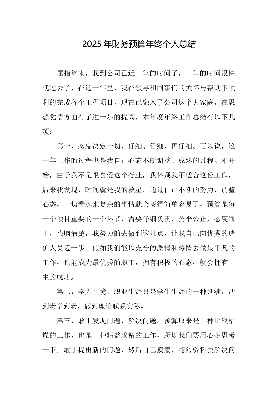 2025年财务预算年终个人总结_第1页