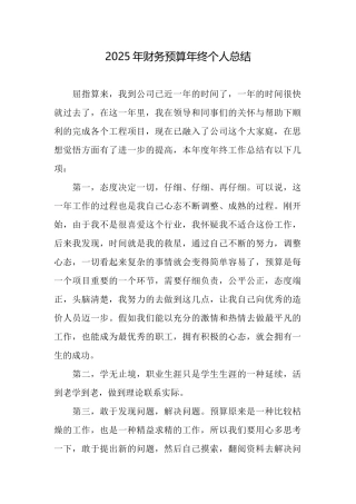 2025年财务预算年终个人总结