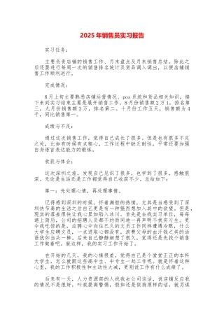 2025年销售员实习报告