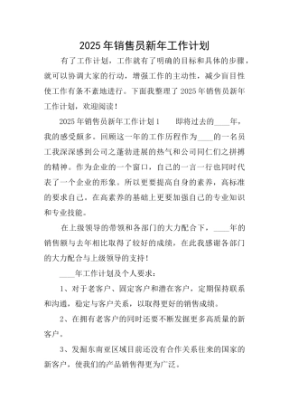 2025年销售员新年工作计划