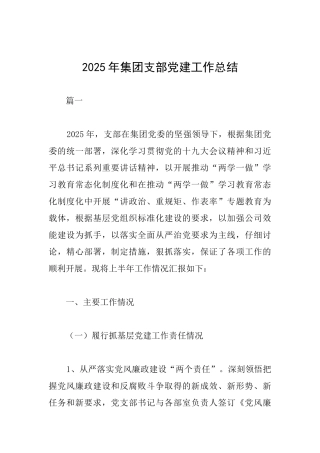 2025年集团支部党建工作总结