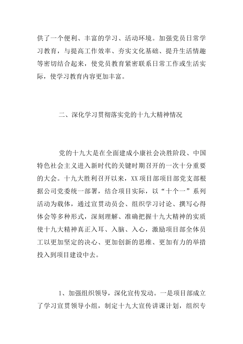 2025年项目部党支部党建工作总结_第2页