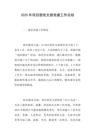 2025年项目部党支部党建工作总结