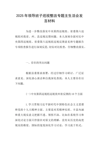 2025年领导班子巡视整改专题主生活会发言材料