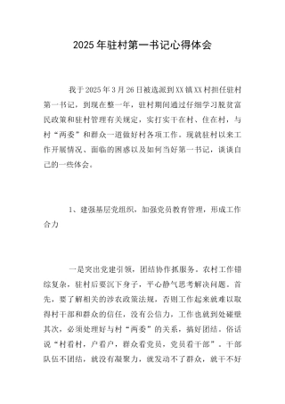 2025年驻村第一书记心得体会