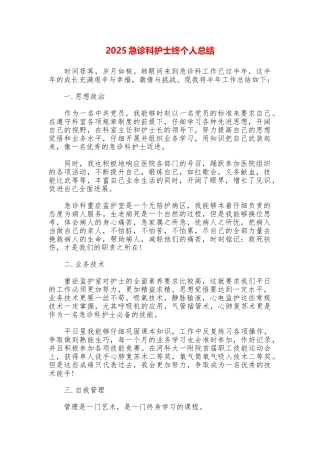 2025急诊科护士终个人总结