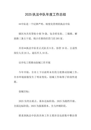 2025执法中队年度工作总结