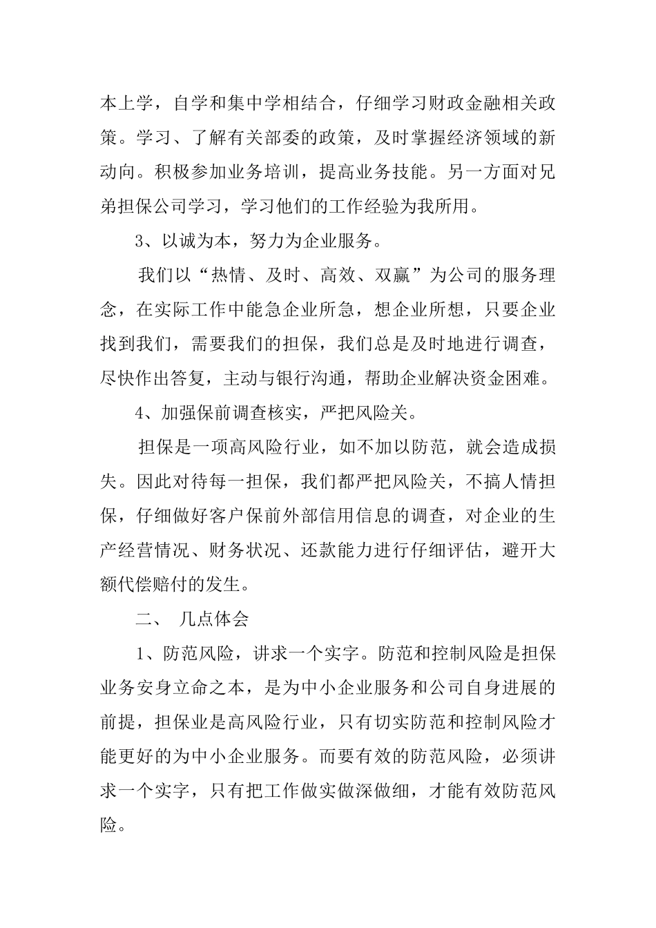 2025担保公司年终工作总结_第2页