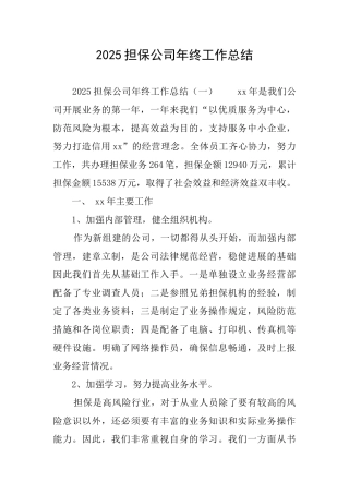 2025担保公司年终工作总结