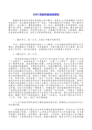 2025效能风暴自查报告