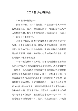 2025整训心得体会