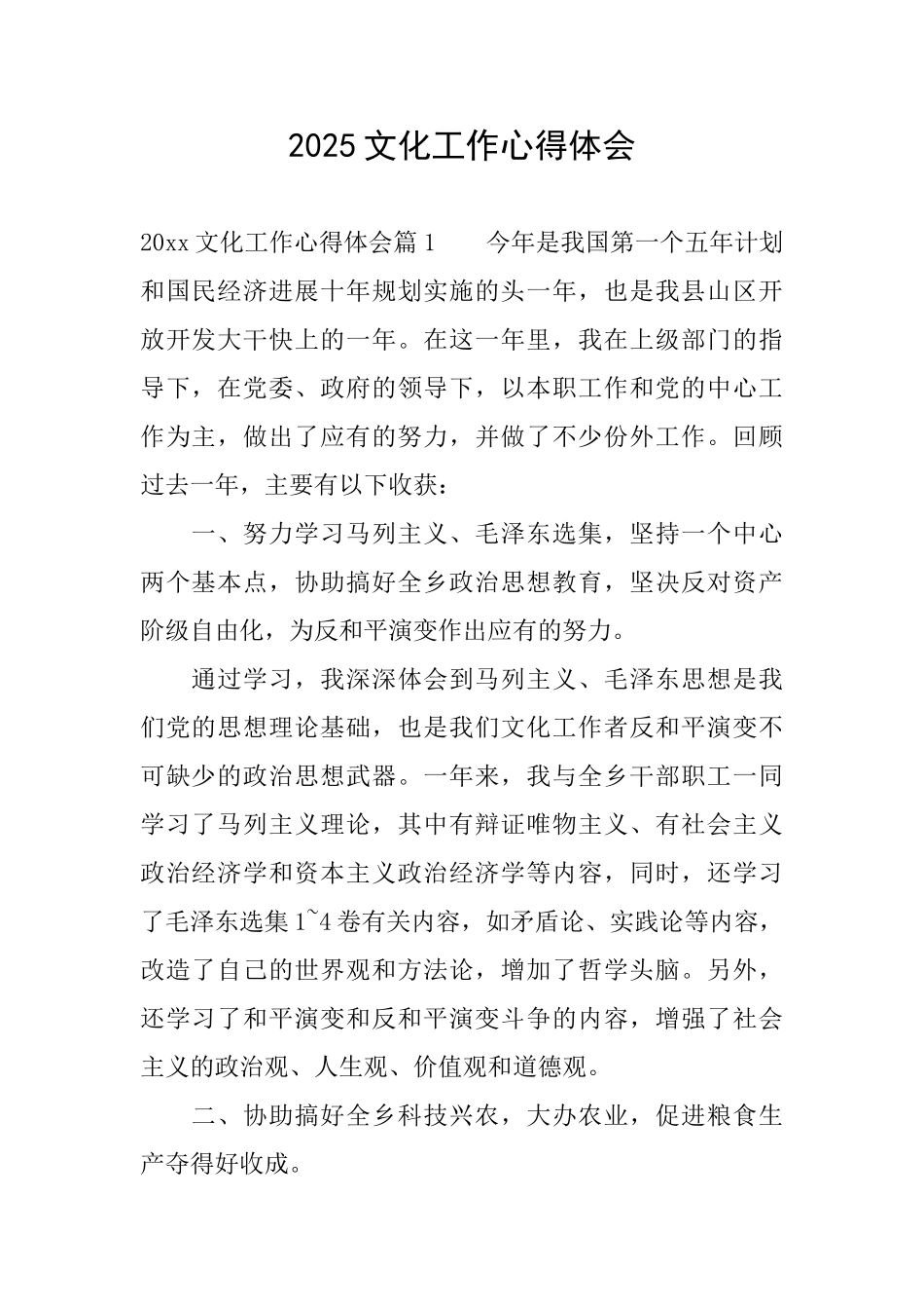 2025文化工作心得体会_第1页