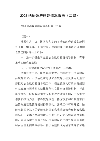 2025法治政府建设情况报告