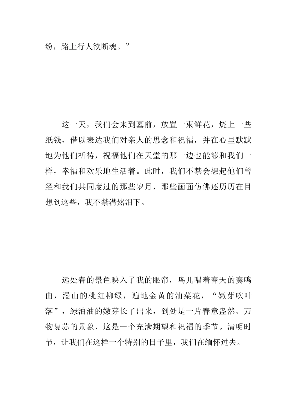 2025清明节心得及感受_第3页