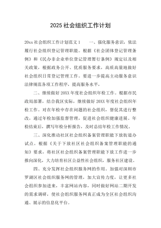 2025社会组织工作计划