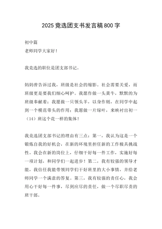 2025竞选团支书发言稿800字
