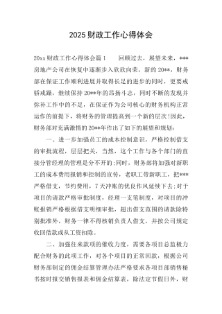 2025财政工作心得体会