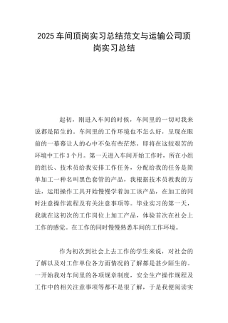 2025车间顶岗实习总结范文与运输公司顶岗实习总结