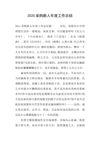 2025采购新人年度工作总结