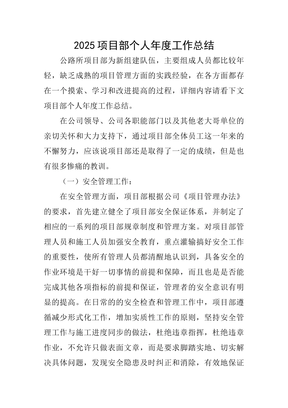 2025项目部个人年度工作总结_第1页