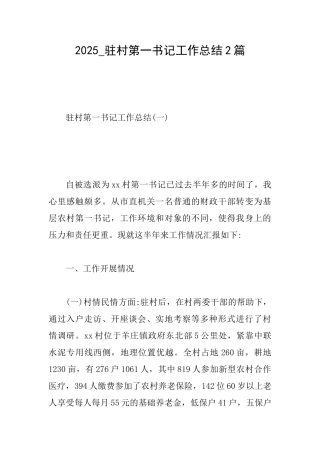 2025驻村第一书记工作总结2篇