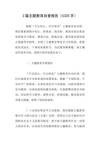 2篇主题教育自查报告