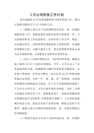 3月公司财务工作计划