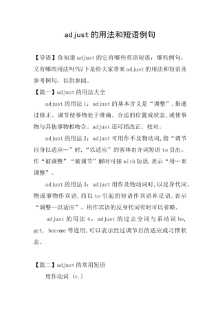 adjust的用法和短语例句