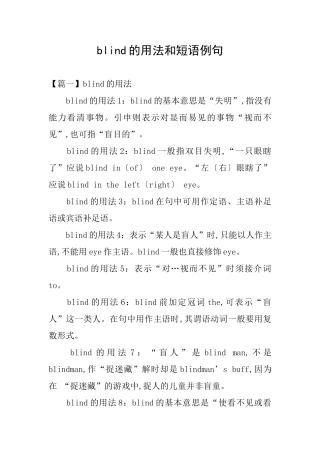 blind的用法和短语例句