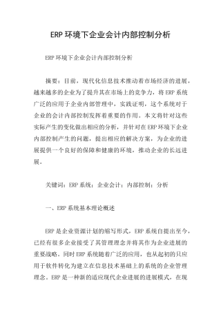ERP环境下企业会计内部控制分析