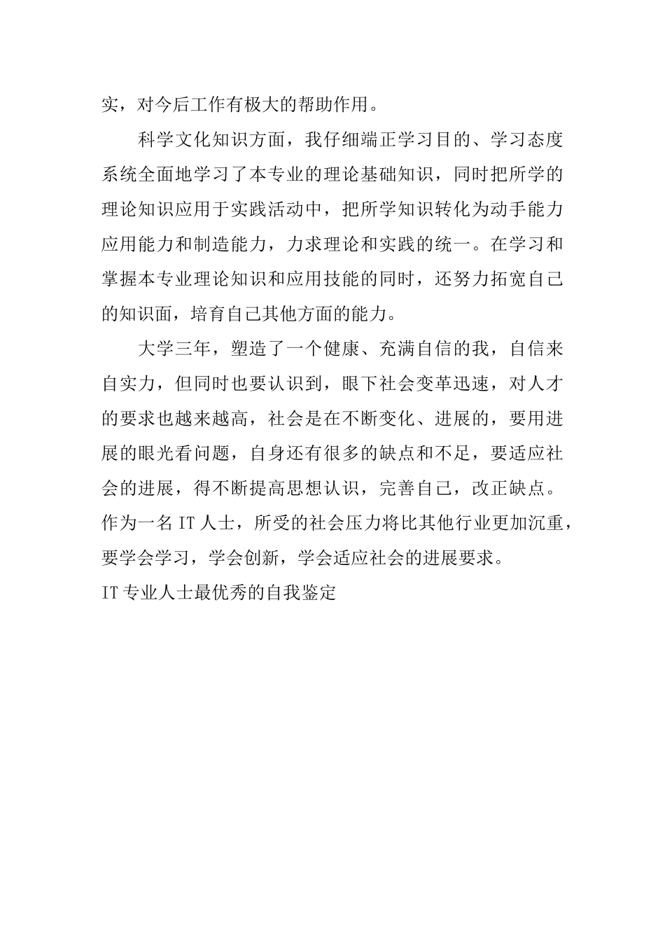 IT专业人士最优秀的自我鉴定_第2页