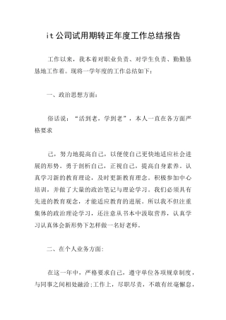 it公司试用期转正年度工作总结报告
