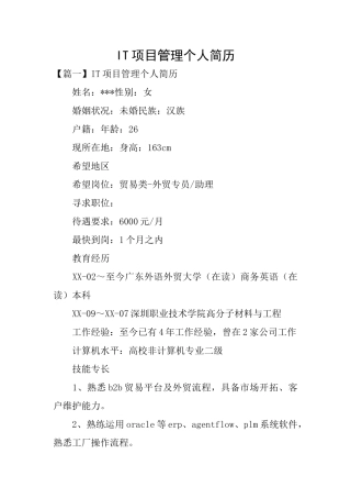 IT项目管理个人简历