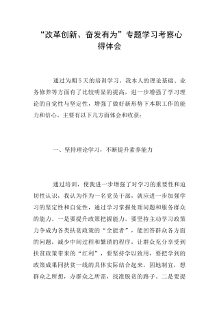 “改革创新、奋发有为”专题学习考察心得体会