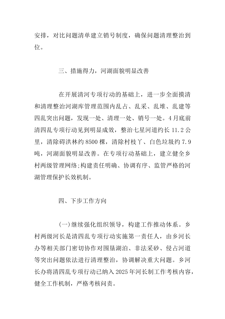 “清四乱”工作总结_第2页