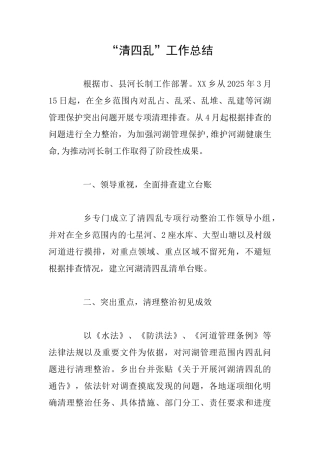 “清四乱”工作总结