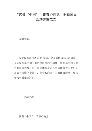 “读懂‘中国’青春心向党”主题团日活动方案范文