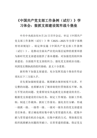 《中国共产党支部工作条例》学习体会：狠抓支部建设筑牢战斗堡垒