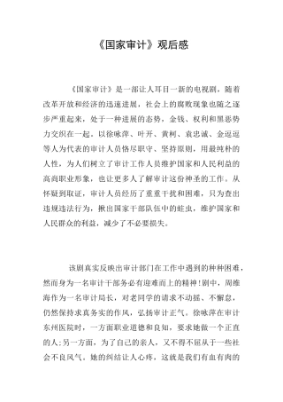 《国家审计》观后感