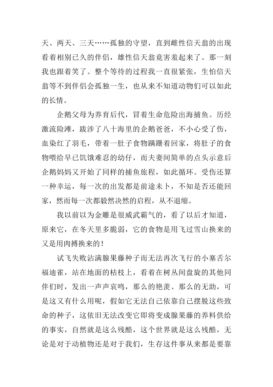 《地球脉动》观后感_第3页