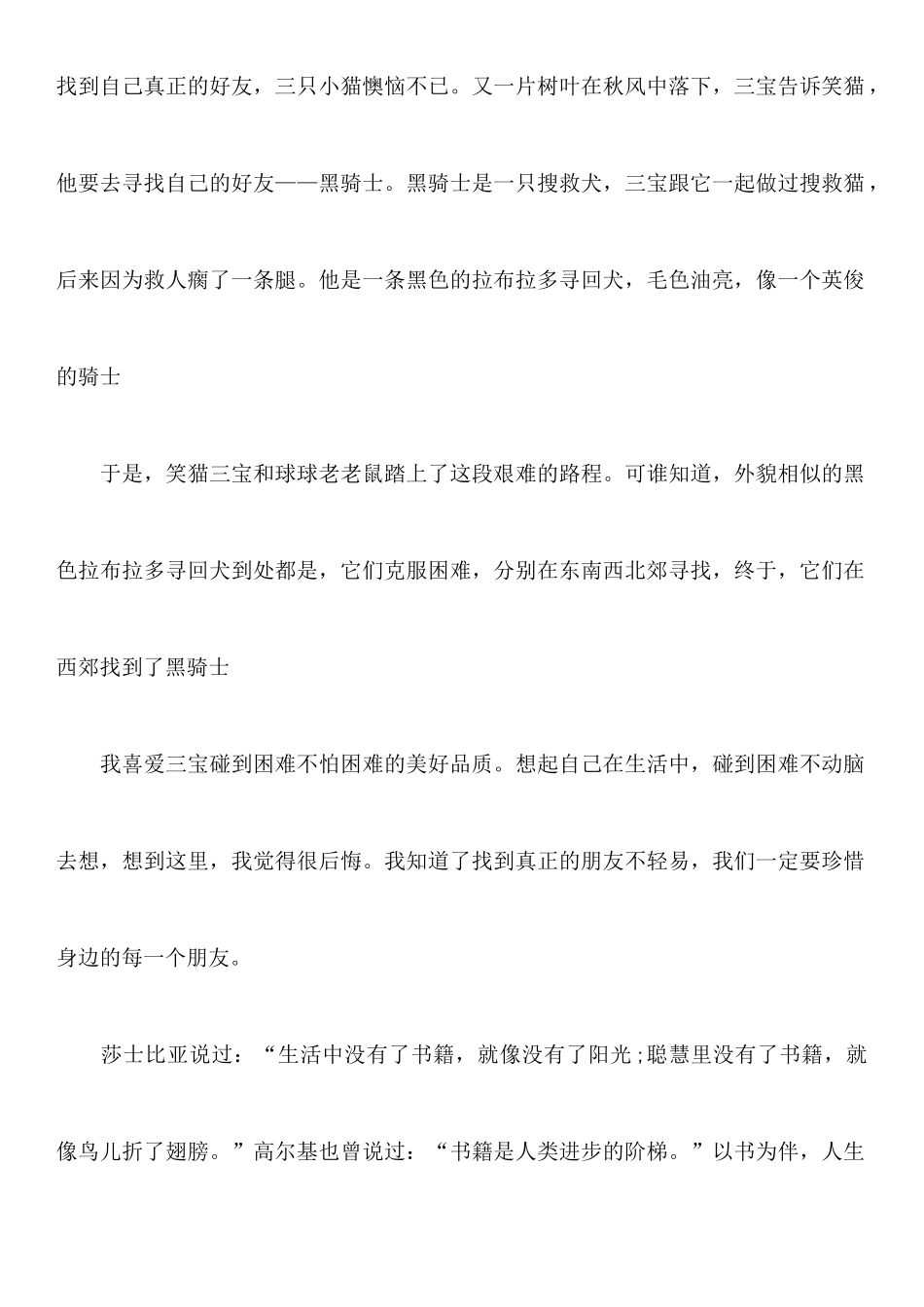 《寻找黑骑士》读后感_第2页