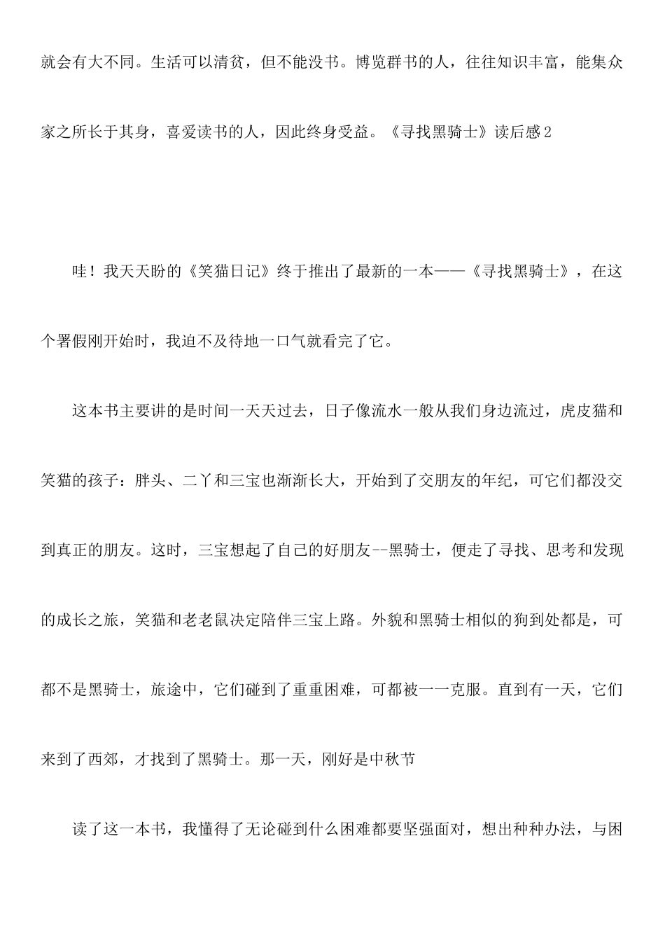《寻找黑骑士》读后感_第3页