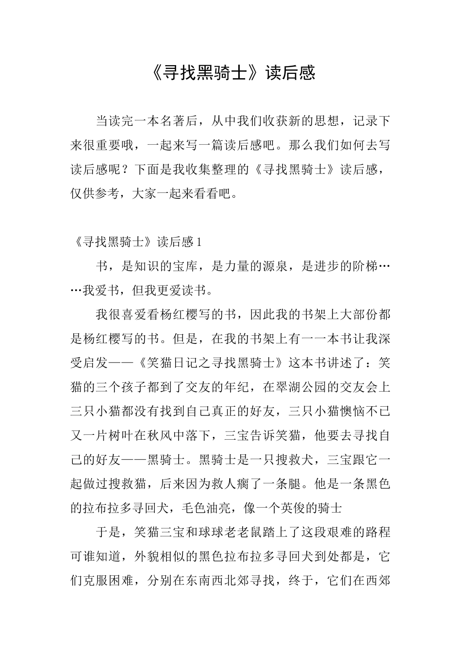 《寻找黑骑士》读后感_第1页
